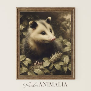Vintage Opossum Portrait Painting, Printable Botanical Woodland Animal Fine Art Print, Moody Wildlife Digital Download Wall Decor | OP003