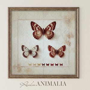 Butterflies Chart Square Art Print, Cottagecore Printable Wall Art, Vintage Decor, Minimalist Prints, Nature Art, Butterfly Drawing | SG121