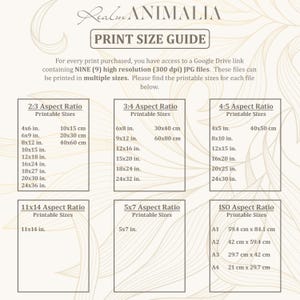 Toad and Butterfly Print, Vintage Nature Wall Art, Nursery Room Animal Decor (Digital Download) image 20