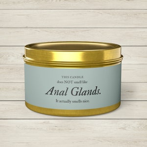 Veterinary Candle. Funny Vet Med Joke Candle. Gift for Vet Tech, Vet Nurse, Veterinarian, Vet Receptionist, Kennel Tech, Dog Groomer.