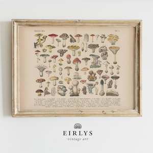 Poisonous Mushrooms Vintage Art Print | Vintage Farmhouse Cottagecore Autumn Witchy Whimsigoth PRINTABLE | Downloadable Digital