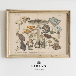 Edible Mushrooms Vintage Art Print | Vintage Farmhouse Decor Cottagecore Halloween Dark Academia PRINTABLE | Downloadable Digital