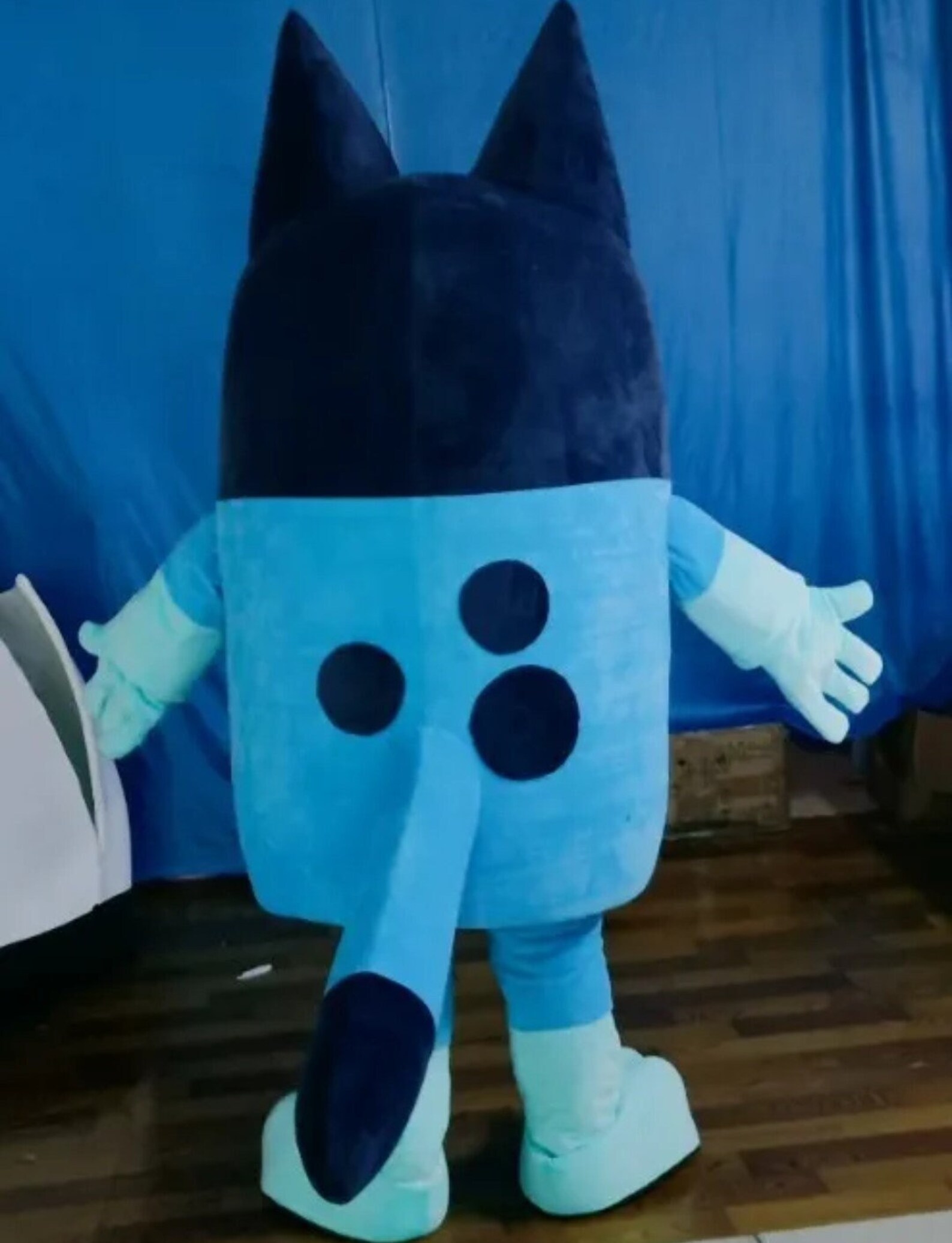 Bluey Mascot Full Costume for Sale Blue Dog Children Etsy UK