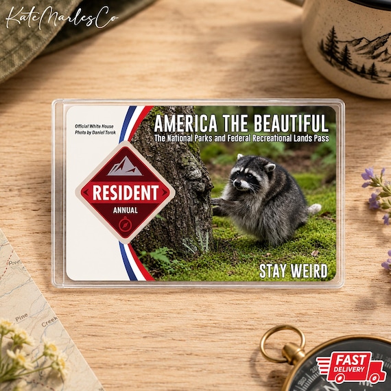 Jimothy Raccoon National Park Pass Holder,  Seattle Raccoon America the Beautiful Pass Sleeve, Hiker Gift