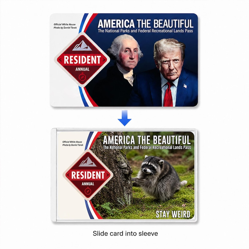 K&ouml;nnte beinhalten: Ein Karten- und H&uuml;llenset mit dem Titel America The Beautiful National Parks and Federal Recreational Lands Pass. Die Karte zeigt George Washington und Donald Trump. Die H&uuml;lle zeigt einen Waschb&auml;ren und den Text Stay Weird.