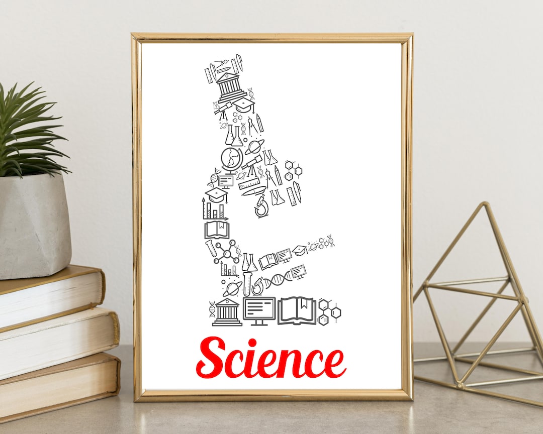 PHYSICS Gallery Wall Classroom Decor High School Physics Etsy