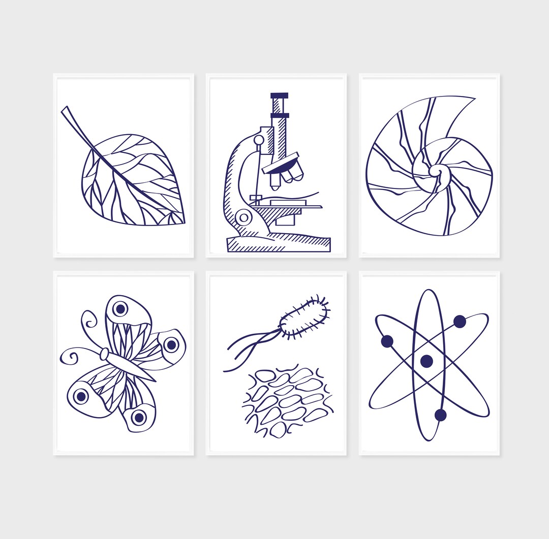 PHYSICS Gallery Wall Classroom Decor High School Physics - Etsy
