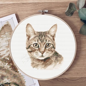 Può includere: Un ricamo a punto croce del volto di un gatto in un telaio di legno. Il gatto ha pelo marrone e marrone chiaro con occhi verdi. Un grafico del modello è visibile a sinistra. Lo sfondo è una superficie di legno.