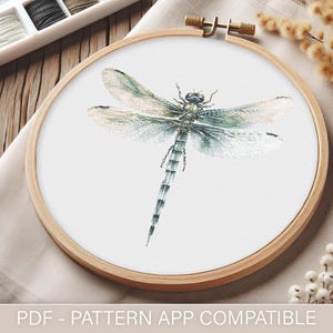 Op de afbeelding: Een kruissteekpatroon met een gedetailleerde libel met groene en blauwe vleugels op een witte achtergrond. Het patroon wordt weergegeven in een houten borduurring.