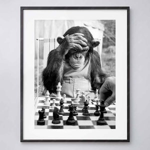 Può includere: Una fotografia in bianco e nero di uno scimpanzé che gioca a scacchi. Lo scimpanzé è seduto a un tavolo da scacchi e ha la mano sugli occhi, come se stesse pensando alla sua prossima mossa.