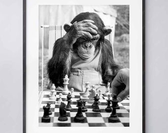 Monkey Playing Chess Print 1954 Vintage Photography - High Quality Print