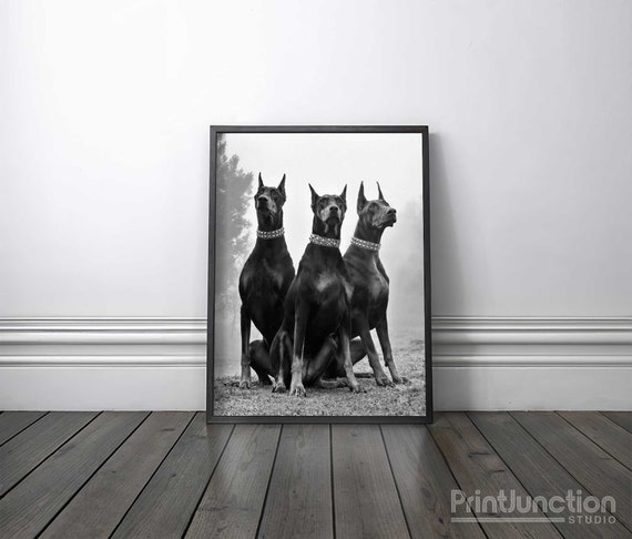 Doberman Pinscher Print - Doberman Art  - Dog Wall Decor - High Quality Print
