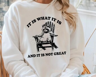 Es lo que es, camiseta de mapache, sudadera gráfica, citas, no es genial, sarcástico, cuello redondo de Gildan