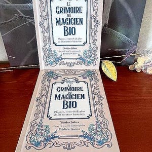 Recipe book, le Grimoire du Magicien Bio, European French