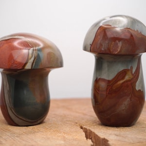 Picture Jasper Mushroom