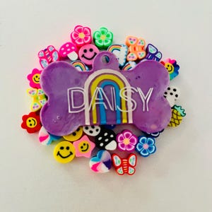 Boho Rainbow Resin Dog Tag