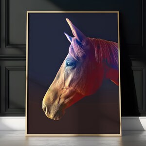 Horse Head Photograph Digital Download Equestrian Wall Art