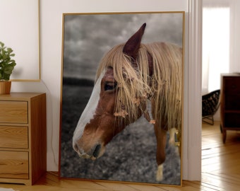 Imagen de cabeza de caballo con salpicadura de color, descarga digital, impresión artística equina