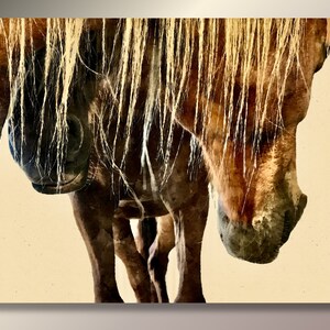 Two Horses Print Sepia Colors Digital Download Gift Horse Lovers