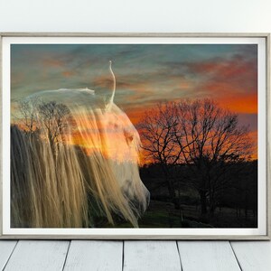 Impression de cheval blanc au lever du soleil, photographie créative, téléchargement numérique, art mural unique