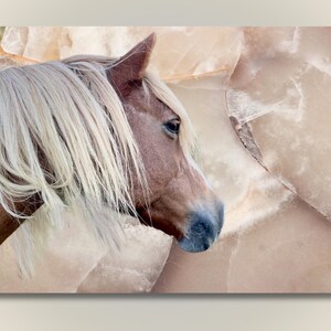 Horse Portrait Photography Printable Digital Download Pony Lover Gift