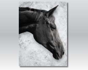 Pferdeportrait | Schwarzweiß | Fotokunst (Digitaler Download)
