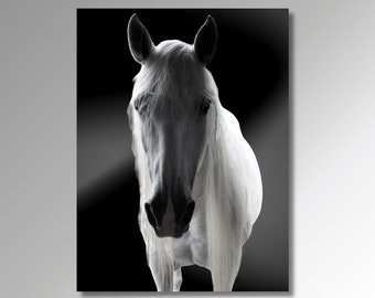 Stampa del ritratto di cavallo bianco / Fotografia equina (download digitale)
