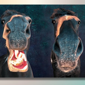 Horse Portrait Photographic Art Digital Download Unusual Horse Gift