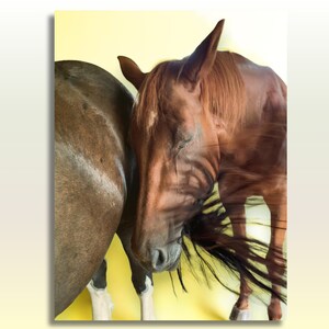 Two Horses Print Digital Download Cute Horse Lover Gift