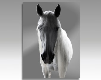 Graues Pferd | Weiße Stute (Digital Download)