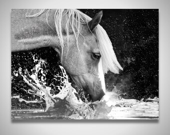 Paardenfotokunst in zwart-wit Digitale download Paardensportcadeau