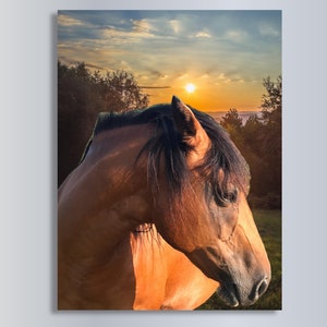 Brown Horse Wall Art Digital Download Horse Home Decor