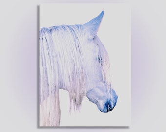 Mare Kopf Portrait - Pferdefotografie Kunst (Digitaler Download)