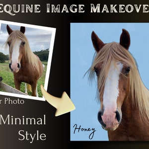Personalized Horse Portrait Digital Download Custom Colour And Font Horse Gift for Teenager