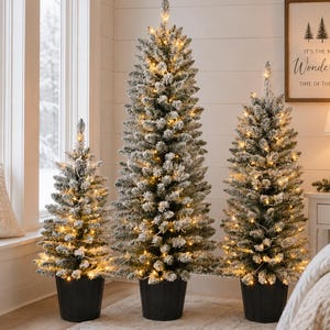 May include: Three artificial Christmas trees of varying heights, each featuring flocked green branches dusted with white snow and illuminated by warm white string lights. Each tree is housed in a simple, dark-colored cylindrical pot base.