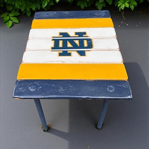 Custom University Roll-Up Table in a bag| School Colors| University Logo Great gift for your college student