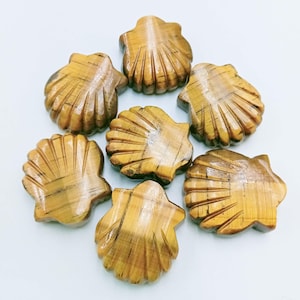 May include: Seven carved tiger's eye gemstone seashell figurines. The shells are a warm, golden brown colour with natural striations. Each shell has detailed ridges radiating from the centre, giving them a realistic appearance. The figurines are arranged in a circular pattern.