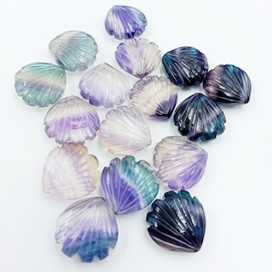 Op de afbeelding: Een verzameling van 15 gesneden fluorite schelpvormige kralen in tinten paars, blauw, groen en wit. De kralen zijn ongeveer 2,5 cm groot.