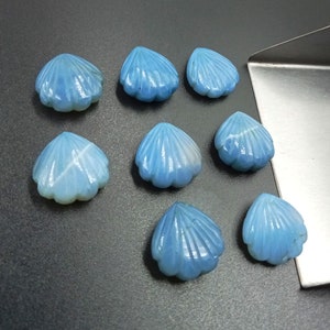 Op de afbeelding: Negen lichtblauwe edelsteen-cabochons, gesneden in de vorm van schelpen. De cabochons zijn in een halve cirkel op een grijs oppervlak gerangschikt.