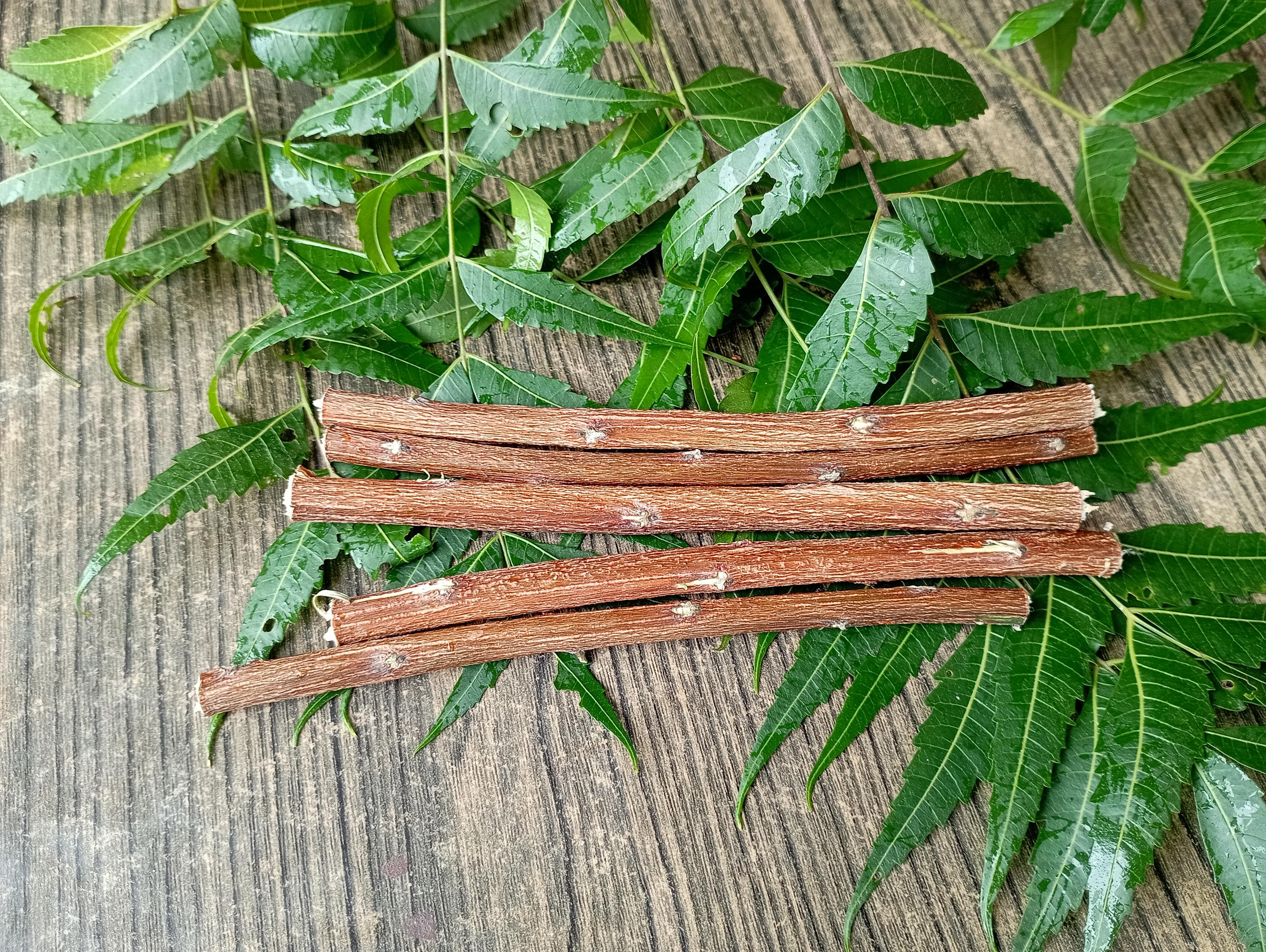 Neem Datun resilient