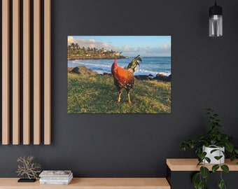 Print of sassy Hawaiian chicken taken at Poipu Beach, Kauai wall art