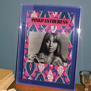 PinkPantheress poster | black illustration art | black art print| African art print | African poster | african digital art