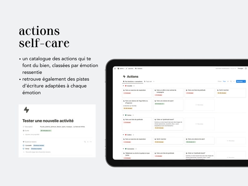 Le journal : modèle Notion en français pour prendre soin de toi et de ta santé mentale image 6