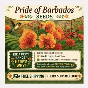 Pride of Barbados Seeds - Etsy
