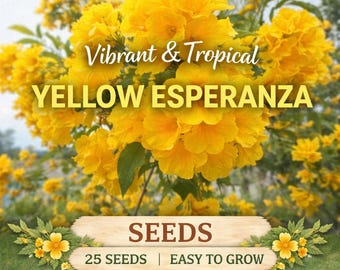 Yellow Esperanza Seeds | Golden Trumpet Flower, Garden Blooms