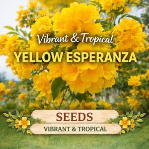 Yellow Esperanza Seeds | Tecoma Stans, Hummingbird Favorite, Heat Loving Blooms, Xeriscape Plant, Texas Landscape