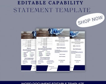 Your Customizable Capability Statement