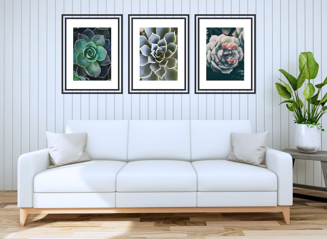 Set of 3 Botanical Succulent Wall Art | Minimalist Botanical Home Decor ...