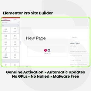 Elementor Pro Site Builder - 1 Site 1 Year. WordPress Plugin Installation Service with Licensed Automatic Updates.