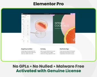 Modules complémentaires Elementor Pro - 1 site 1 an | Mises à jour automatiques | Service d'installation rapide et sécurisé du plugin WordPress